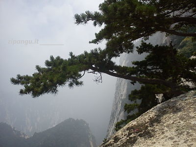Huashan (Monte Hua): panorama Cina: Monte Huashan