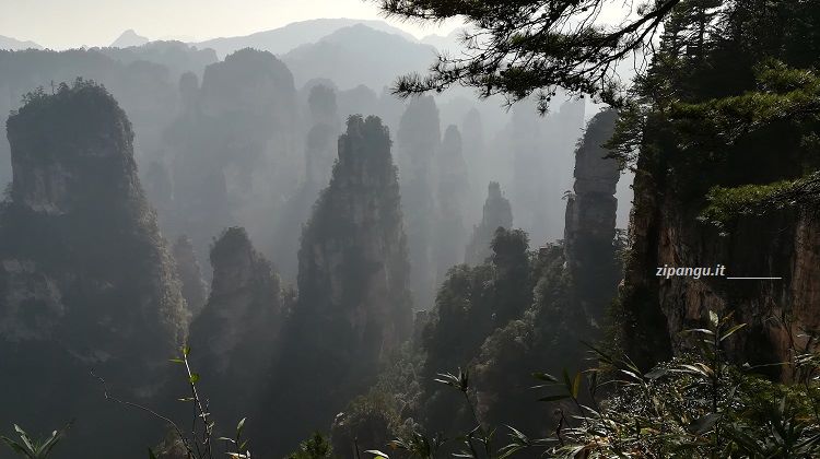 Cina: Zhangjiajie, il parco forestale nazionale. L'ingresso all'area è alquanto costoso
