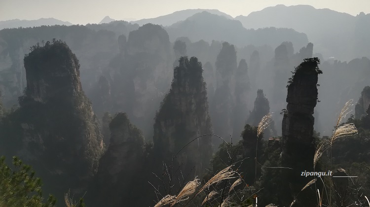 Zhangjiajie (Cina): località di Huangshizhai; un bellissimo paesaggio montano