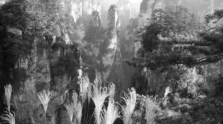Zhangjiajie (Cina); il Parco Forestale Nazionale di Wulingyuan