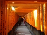 Itinerario in Giappone, 8°giorno: visita a Kyoto; Fushimi Inari Taisha