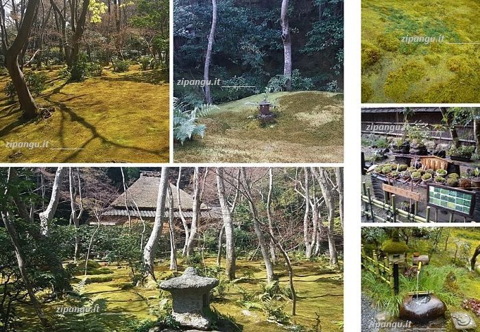 Tempio Gio-Ji (Giou-Ji), Arashiyama (Kyoto)
