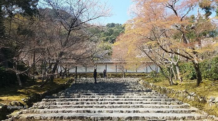 Luoghi da visitare ad Arashiyama: il tempio Nison-In
