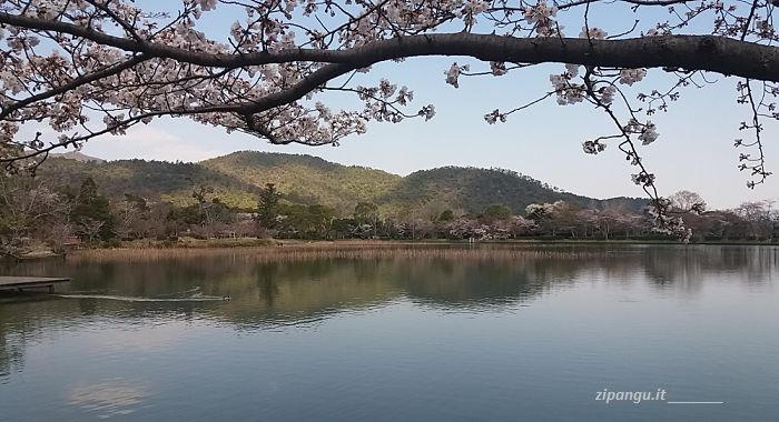 Cosa vedere in due giorni e mezzo a Kyoto: lo Stagno Osawa