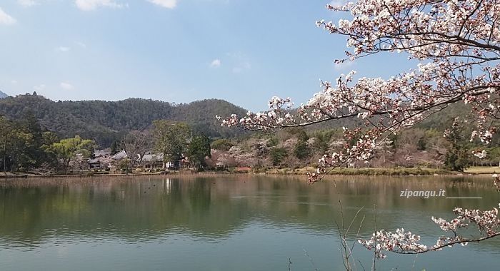 Alloggiare ad Arashiyama: passeggiata presso lo Osawa-no-Ike