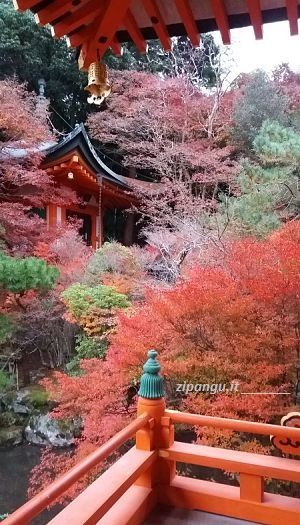 Viaggio in Giappone di due settimane: visita a Kyoto in autunno