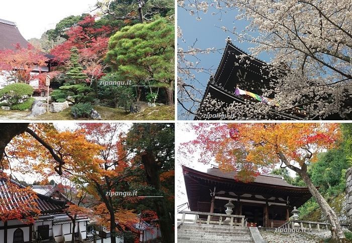 Itinerari a piedi a Gion e Higashiyama: Chion-In
