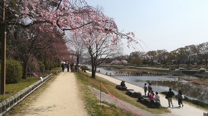 Alloggiare a Sakyo (Kyoto): passeggiata lungo il Fiume Kamo