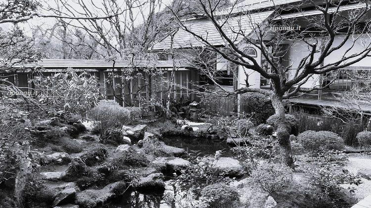 Visita a Ohara (Kyoto): Hosen-In; il giardino giapponese