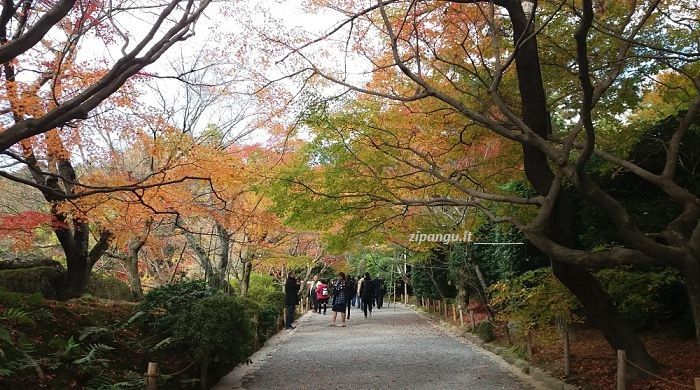 Ryoan-Ji (Kyoto): ingresso