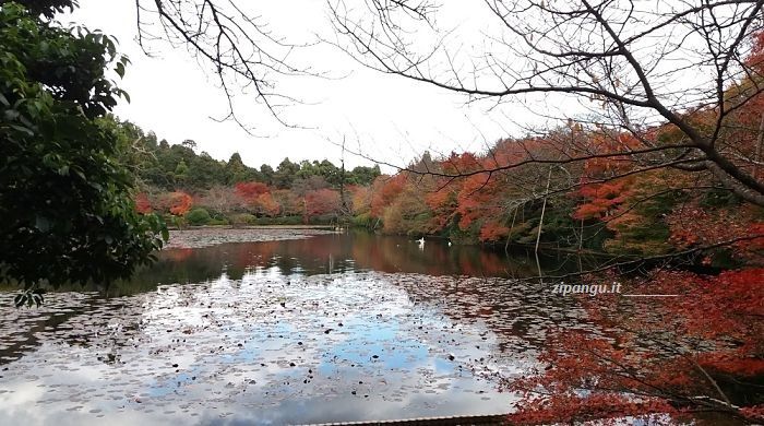 Ryoan-Ji (Kyoto): stagno centrale