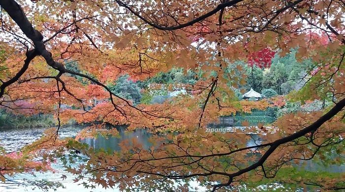 Ryoan-Ji (Kyoto): Kyoyochi