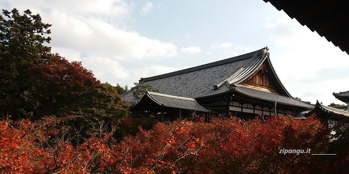 Escursione a Nara da Kyoto: visita al Tofuku-Ji