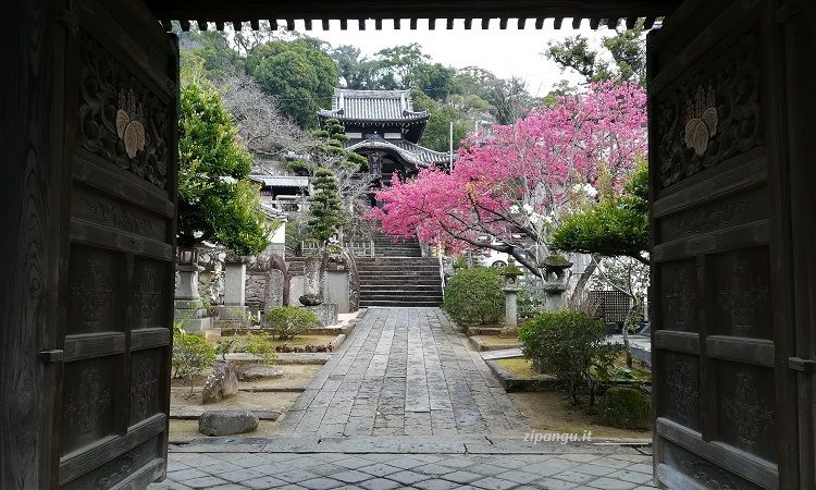 Un giorno a Nagasaki: visita al Kotai-Ji