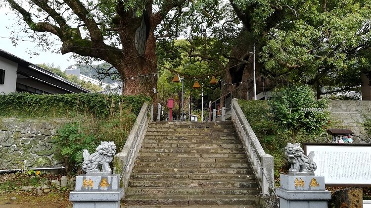 Itinerario di un giorno a Nagasaki: Sanno-Jinja; i due alberi di canfora