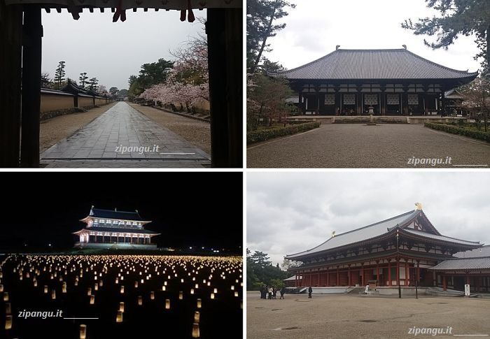 Visitare Nara da Osaka: itinerario a Nishinokyo