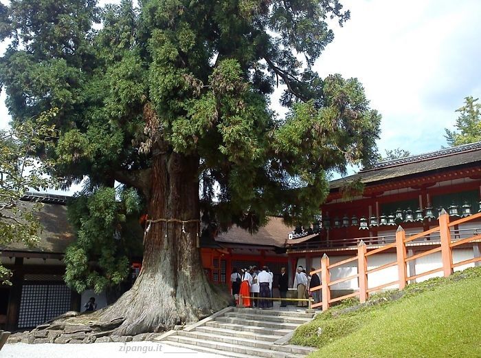 Kasuga-Taisha (Nara): santuario principale