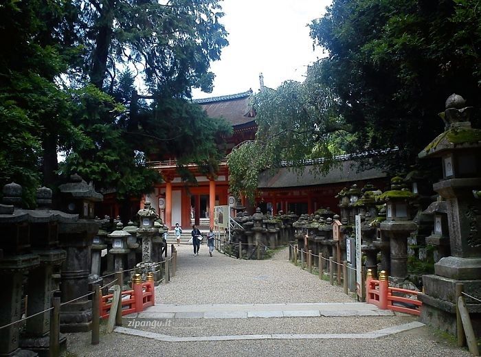 Visita al Kasuga-Taisha (Nara): ingresso