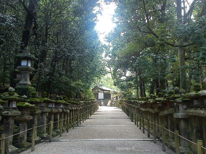Visita al Kasuga-Taisha (Nara): portico