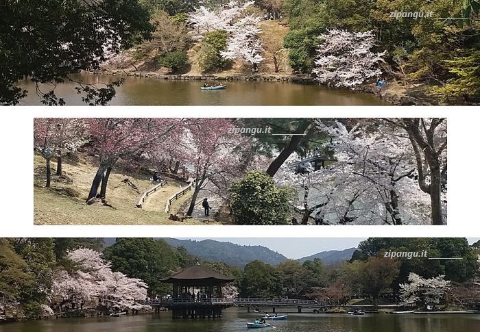 Viaggio in Giappone; cosa vedere: il Parco di Nara