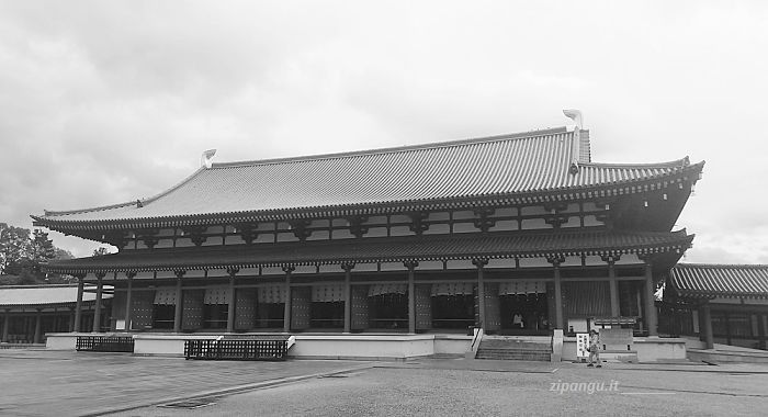 Visita allo Yakushi-Ji: Daikodo