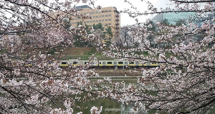 Treno della Linea Chuo-Sobu a Chiyoda