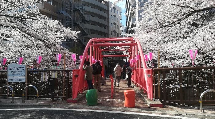 Passeggiata a Meguro: un ponticello sul torrente Meguro-gawa