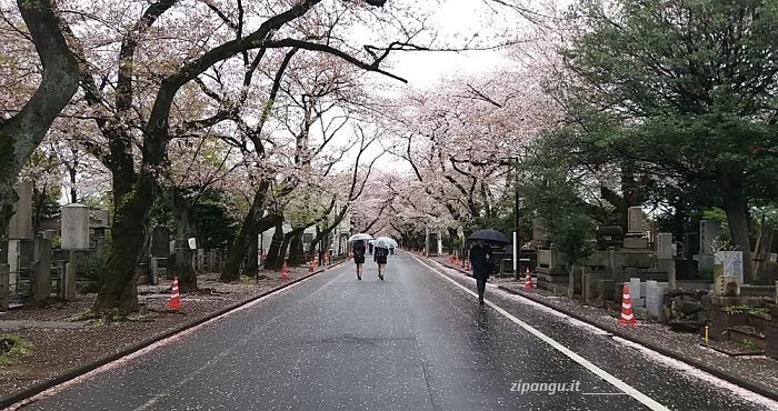 Cosa fare quando piove a Tokyo: visitare il Cimitero di Yanaka