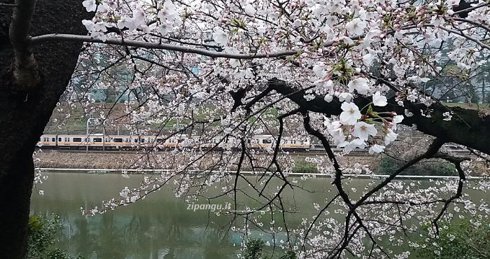 Un treno della Linea Chuo presso il Parco di Sotobori a Chiyoda