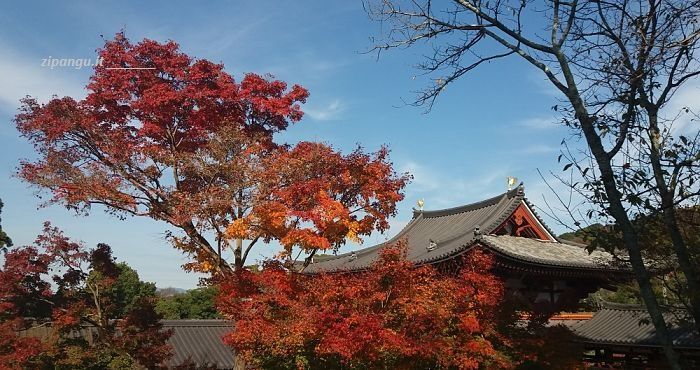 Viaggio in Giappone in autunno: Uji