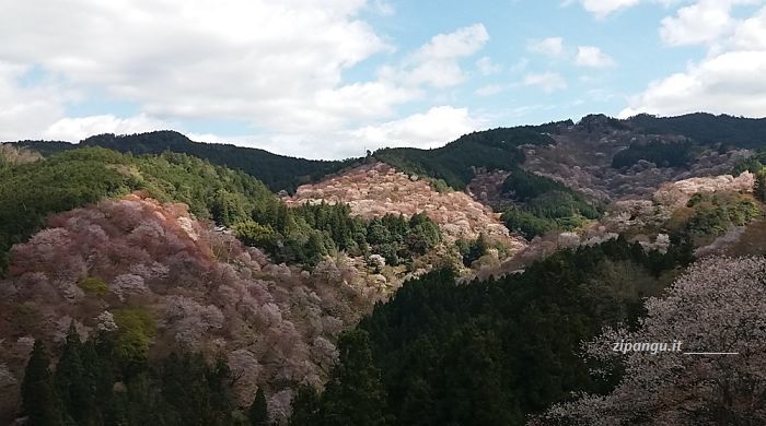 Due settimane in Giappone per i ciliegi: Yoshinoyama; il panorama dallo Yoshimizu-Jinja