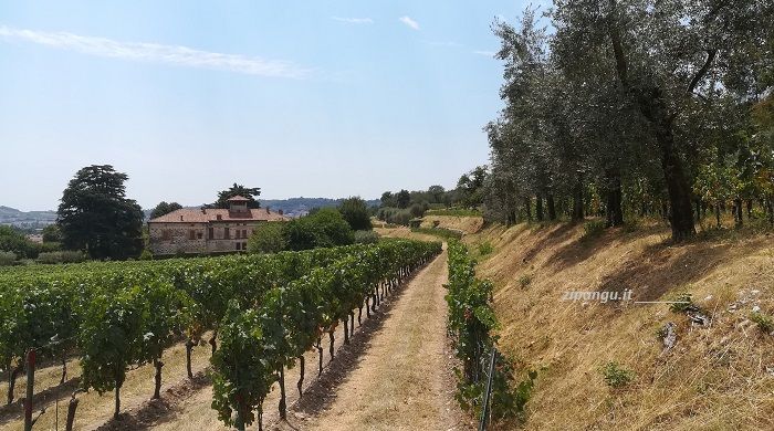 Dove alloggiare vicino a Brescia: Franciacorta