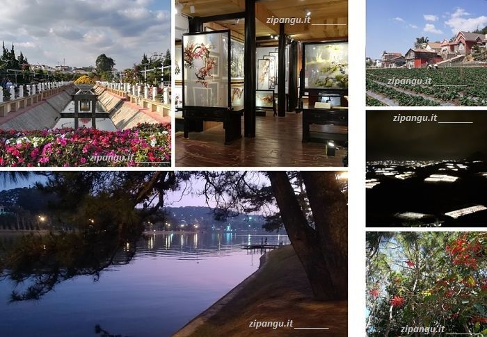 Altopiani Centrali del Vietnam: visita a Da Lat