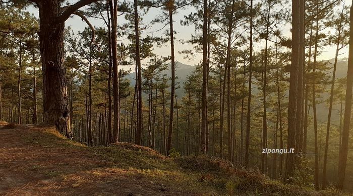Itinerari a Da Lat; una strada a nordovest della città