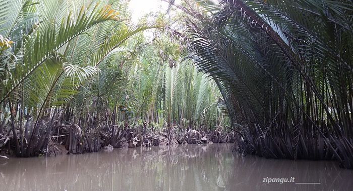 Delta del Mekong, presso My Tho
