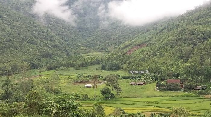 Vietnam: risaie a Ha Giang