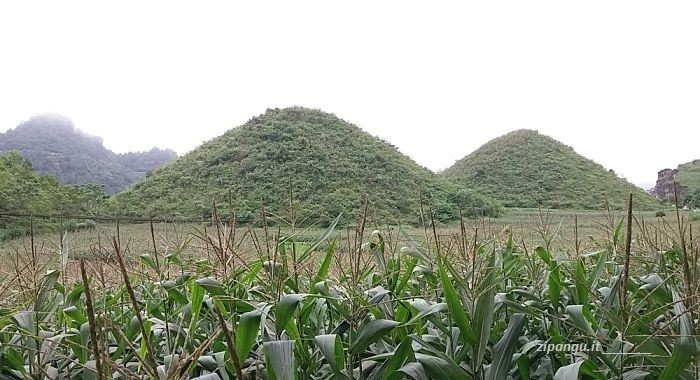 Quindici giorni in Vietnam: Circuito di Ha Giang, Quan Ba