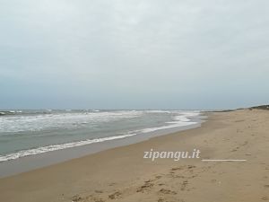 Spiagge vicino a Città di Ho Chi Minh: Long Hai
