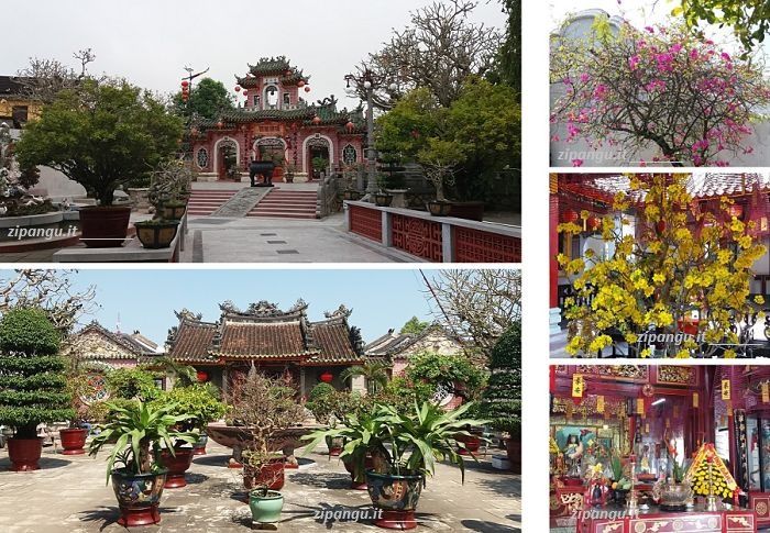 Dodici giorni in Vietnam: visita a Hoi An; Hoi Quan Phuc Kien
