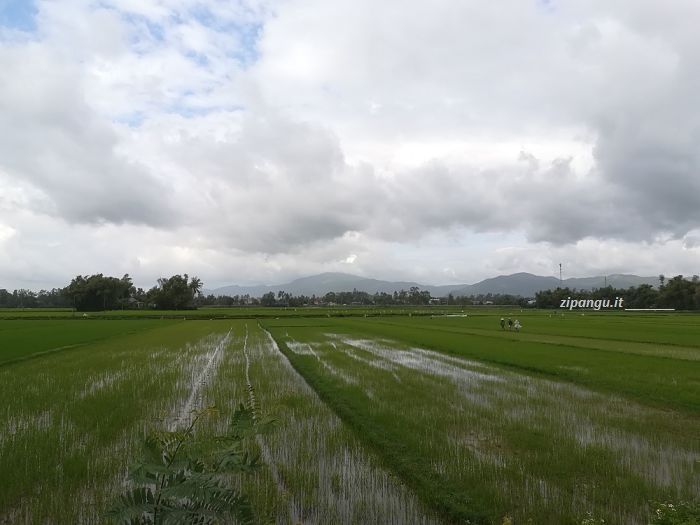 Cosa fare a Qui Nhon: vedere la campagna circostante