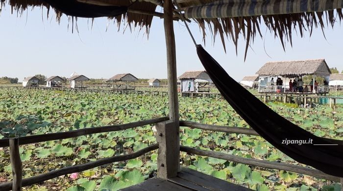 Esperienze nel Delta del Mekong: dormire in uno stagno di fiori di loto