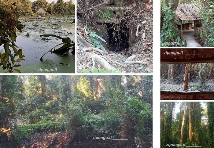 Cosa vedere nel Delta del Mekong: la Foresta di Xeo Quyt