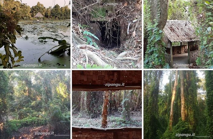 Cosa vedere vicino a Sa Dec: la Foresta di Xeo Quyt
