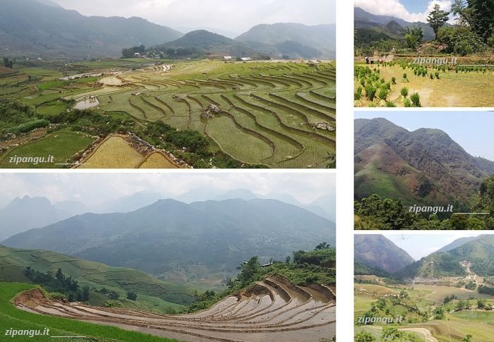 Viaggio in Vietnam: risaie nella provincia di Lao Cai
