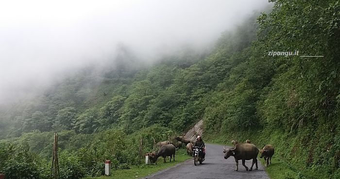 Itinerario di 15 giorni in Vietnam: Provincia di Lao Cai