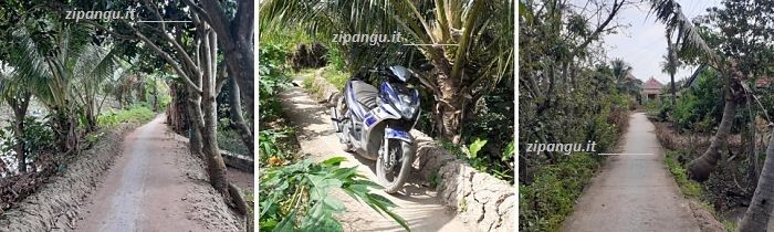 Viaggio in moto nel Delta del Mekong: Isola di An Binh; strade